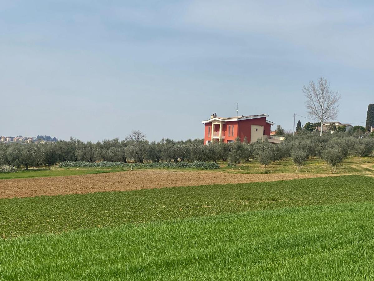 Olea Bed & Breakfast