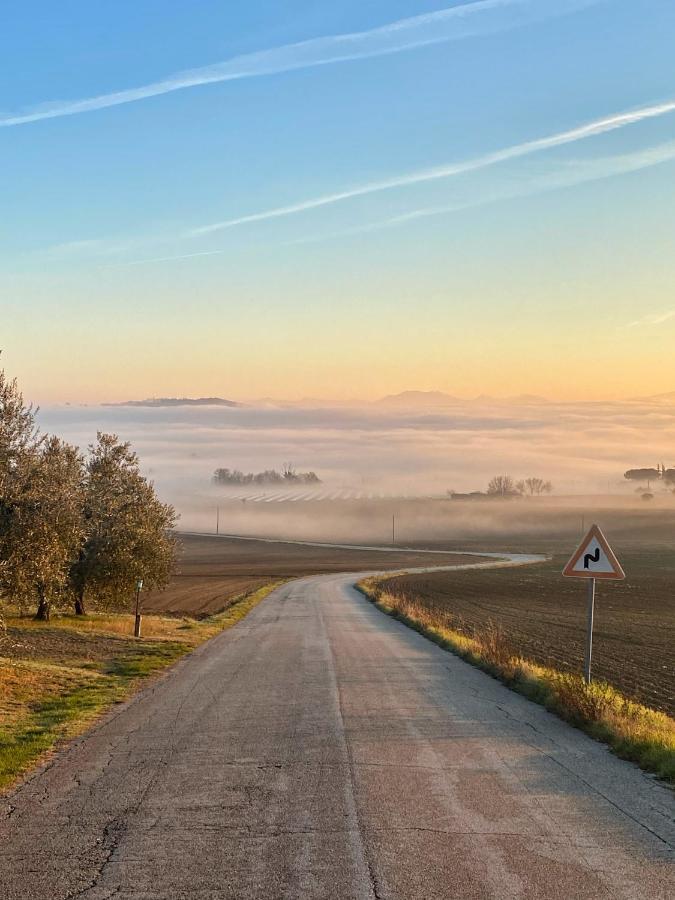 Olea Montecosaro (Marche)