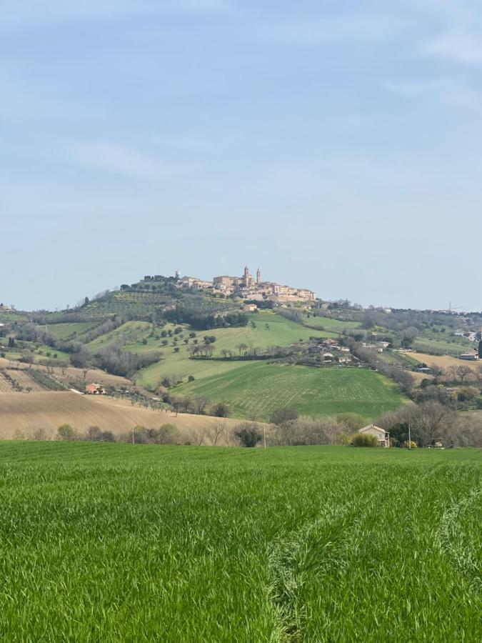 Olea * Montecosaro (Marche)